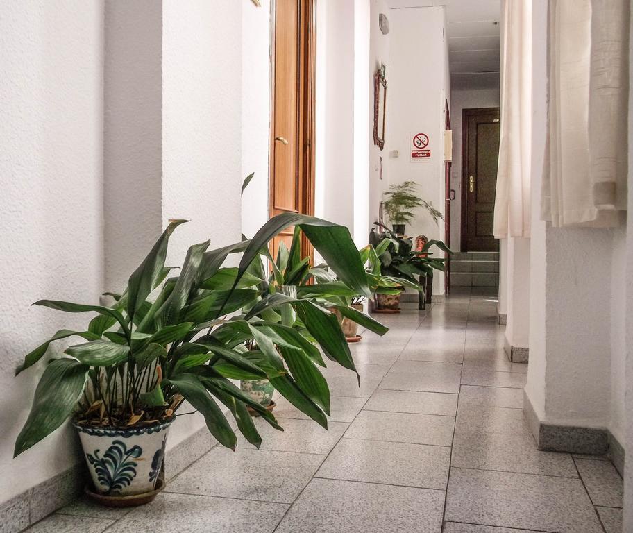 Pension Ciudad Navarro Ramos Granada Exteriér fotografie